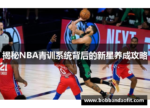 揭秘NBA青训系统背后的新星养成攻略