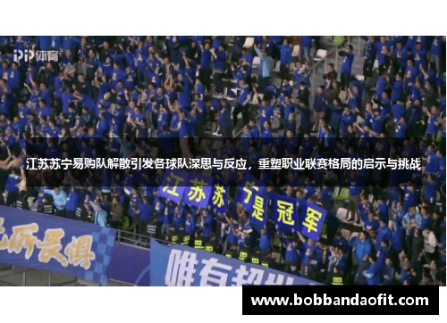 江苏苏宁易购队解散引发各球队深思与反应，重塑职业联赛格局的启示与挑战