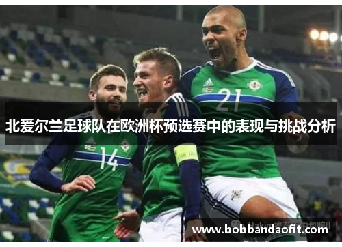 北爱尔兰足球队在欧洲杯预选赛中的表现与挑战分析