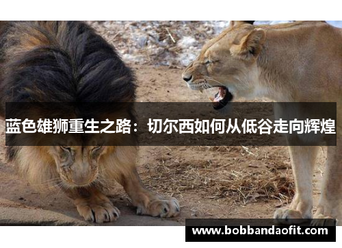 蓝色雄狮重生之路：切尔西如何从低谷走向辉煌