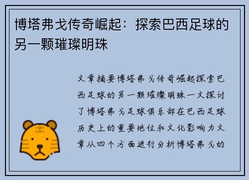 博塔弗戈传奇崛起：探索巴西足球的另一颗璀璨明珠